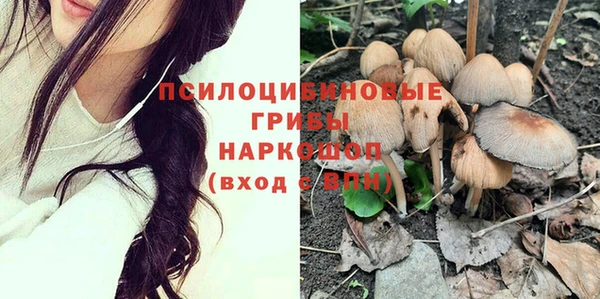 шишки Алзамай