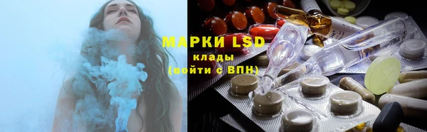 шишки Алзамай