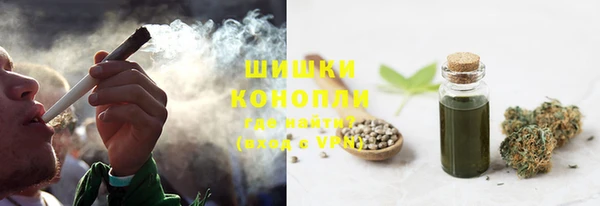 шишки Алзамай