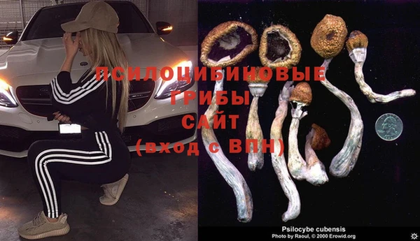 синтетический гашиш Алексеевка