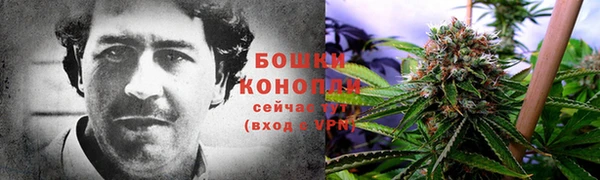 шишки Алзамай