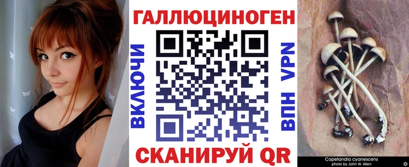 Псилоцибиновые грибы Psilocybine cubensis  kraken ТОР  Рошаль 